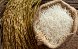اصول کیفیت و نگهداری برنج