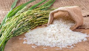 اصول کیفیت و نگهداری برنج 