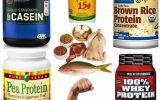 آیا مکمل های پروتئینی برای شما مناسب هستند؟